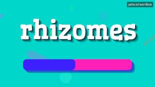 RHIZOMES  HOW TO PRONOUNCE IT [upl. by Arretnahs570]