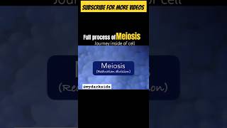 Full Process of Meiosis  Cell and Division meiosisshortbiologyshortbiologyanimation [upl. by Nomra]