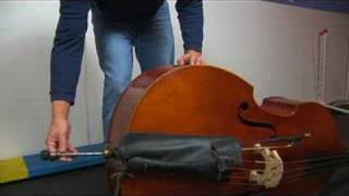 Upright Bass for Beginners  Holding an Upright Bass [upl. by Nairad]