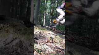 Freeride mtb dirtpark downhill mountainbike mtblife jump [upl. by Scholz]