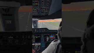 Rate this Pilot Landing A350  Cockpit View [upl. by Alaikim]