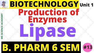 LipaseProduction of EnzymesBiotechnologyUnit 1 B Pharmacy 6 SemLect13 [upl. by Aber]