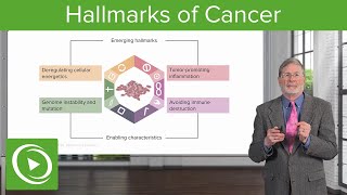 Hallmarks of Cancer [upl. by Silver255]