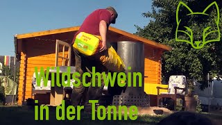 Wildschwein in der Tonne  Das Tonnenbutzje [upl. by Naitsirc]