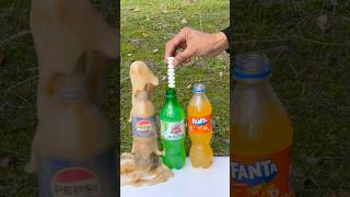 Experiment Giant Volcano with Mohito VS Mentos 😱 cokevsmentos experiment [upl. by Mcgaw]