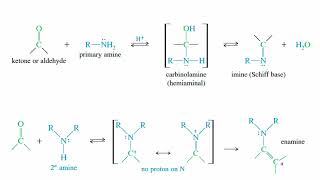 Ketones and Aldehydes  56 [upl. by Benedic]