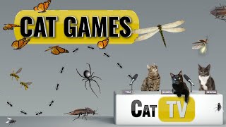 Cat Games  Ultimate Cat TV Bugs and Butterflies Compilation  Videos for Cats to Watch🐱 [upl. by Bak]