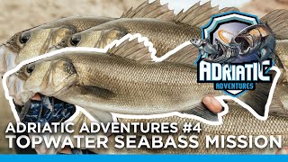 Adriatic Adventures 4  Unbelievable topwater Seabass fishing pure mayhem in the Adriatic [upl. by Kassel906]