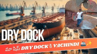 మా షిప్ DRY DOCK కి vachindi ⚓🚢 [upl. by Nailliw424]