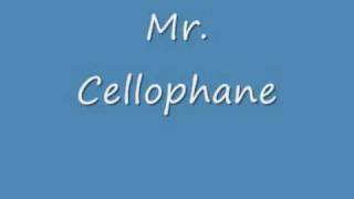 Chicago Mr Cellophane Lyricswmv [upl. by Feune]