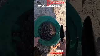 💰Panning Lessons For Gold Prospector goldpanning goldrush [upl. by Randell579]