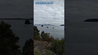 Paihia look out Bay of Islands NZ traveltheworld newzealandadventures newzealand bayofislands [upl. by Naamann]