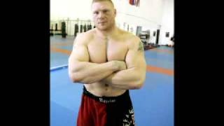 Brock Lesnar talks about SteroidsFedor and his career [upl. by Mandle84]