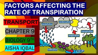 Factors Affecting Rate of Transpiration [upl. by Gemmell220]