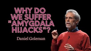 Daniel Goleman explains why we suffer quotamygdala hijacksquot [upl. by Damle]