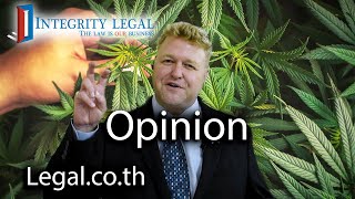 A quotMiddle Pathquot for Foreigners in the Thai Cannabis Business [upl. by Shaefer]