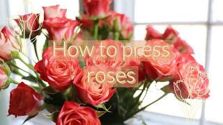 How To Press Roses  3 Methods  Super Easy to Follow  Traditional Flower Press [upl. by Figone]