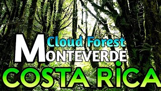 MONTEVERDECloud Forest Reserves  Costa Rica  4k  Monteverde [upl. by Squier]