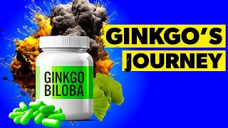 What Are the Benefits of Ginkgo Biloba Supplements [upl. by Mairb]