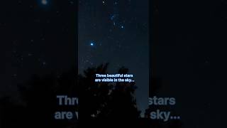 Orion constellation Orion three stars  Orion belt 💫✨🌟 🌠 shorts ytshorts shortfeeds [upl. by Knitter]