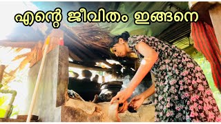 ❌എന്റെ ജീവിതം ഇങ്ങനെ ആണ് 🤱ഒറ്റക്കായിചിലതൊക്കെ കണ്ടില്ലെന്നും അറിഞ്ഞില്ലെന്നും നടിക്കുന്നു [upl. by Nylirehs]