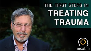 Bessel van der Kolk’s First Step when Treating Trauma [upl. by Pudendas42]