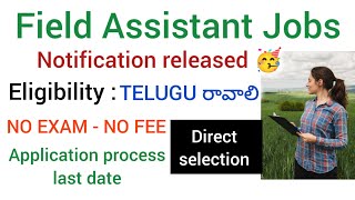 Field Assistant Jobs Eligibility Degree  AP  TS   No exam  no fee  Direct selection [upl. by Sej]