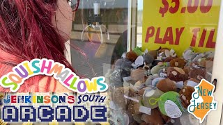 Satisfying Squishmallow Hunting Claw Machine Wins [upl. by Ynavoj]