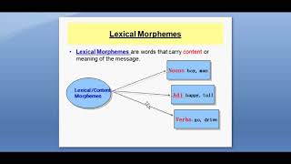 Lesson 4  Lexical Morphemes and Functional  Grammatical Morphemes [upl. by Tess]