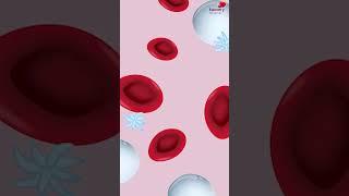 Common Causes of Low Hemoglobin  Watch full Video  httpsyoutubegxBTCGceu38 [upl. by Omarr]