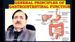 General Principles of Gastrointestinal Function  Lectures by Dr Alamzeb [upl. by Tserrof]