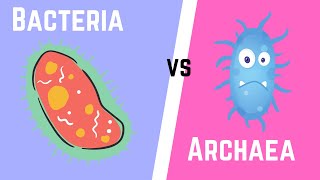 Difference between Bacteria and Archaea [upl. by Eldon899]