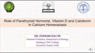 Role of Parathyroid Hormone Vitamin D and Calcitonin in Calcium Homeostasis [upl. by Amaris]