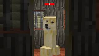 MINECRAFT MEME DOGE CREEPER MUTAHAR LAUGH OVER 1 MILLION TIMES [upl. by Frieder]