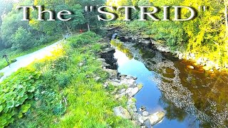 The Strid at Bolton Abbey 2021 [upl. by Melisande]