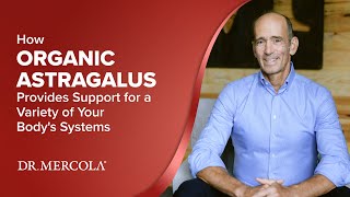 How ORGANIC ASTRAGALUS Provides Support for a Variety of Your Bodys Systems [upl. by Mohammed734]