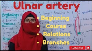 Ulnar artery  beginning  course  relations  branches  ayesha medical education [upl. by Townsend]