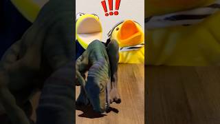 Monster in the Closet 🦖😰😂 shorts comedy [upl. by Nosylla]