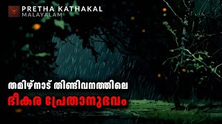 തമിഴ്നാട് തിണ്ടിവനത്തിലെ ഭീകര പ്രേതാനുഭവം  horror story malayalam  ghost story malayalam [upl. by Berkin43]