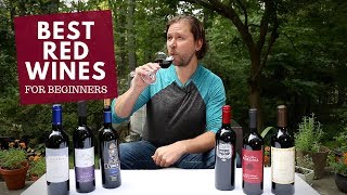 The Best Red Wines For Beginners Series 3 Merlot [upl. by Ahsata]