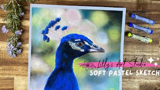 ✨ Rembrandt Soft Pastel 30 set demonstration amp first impression  Painting a bird ✨ [upl. by Ecnatsnok248]