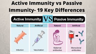 Active Immunity vs Passive Immunity 19 Key Differences [upl. by Saisoj4]