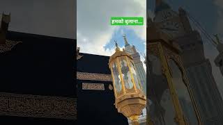 hum ko bulana ya rasool allah lyrics urdu।hum ko bulana ya rasool allah।naat madina trending [upl. by Darin280]