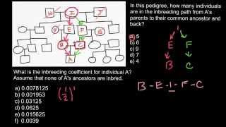 How to calculate inbreeding coefficient [upl. by Stetson342]