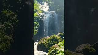 La Piedra Del Indio Waterfall 🇨🇷 [upl. by Hallett]