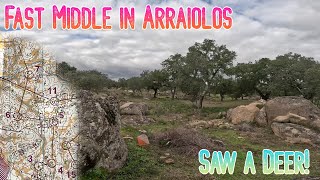 FAST MIDLE DISTANCE IN ARRAIOLOS headcam orienteering [upl. by Nwatna]