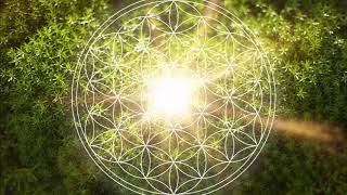 528 Hz Heart Chakra Regeneration  Repair amp Heal The Heart Chakra  Open amp Balance ANAHATA Chakra [upl. by Erdnad112]