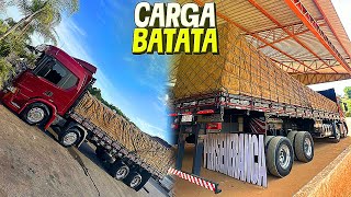 CARREGAMENTO DA BATATA NO INTERIOR QUE CARGA TOP QUE FICOU ESSA  😍 [upl. by Aneez]