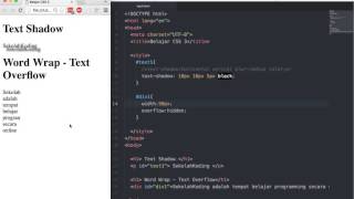5 word wrap dan text overflow [upl. by Lorelie]
