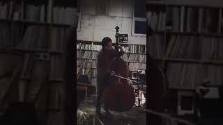 bluebird doublebass variation Manchun Bookstore Jeju Island [upl. by Enirahtac447]